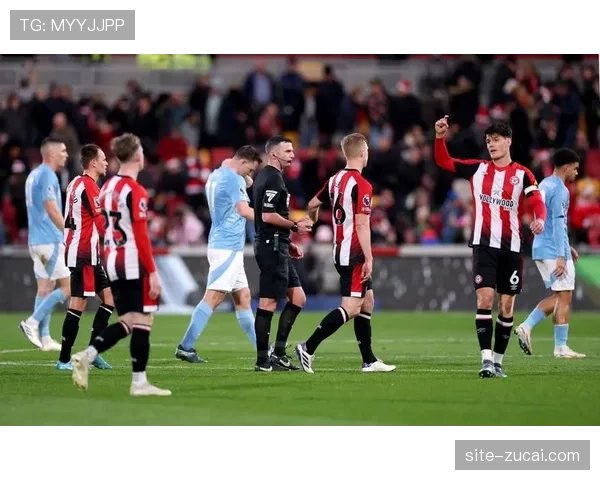 布莱顿主场2比1逆转布伦特福德 维尔贝克与欣谢尔伍德破门