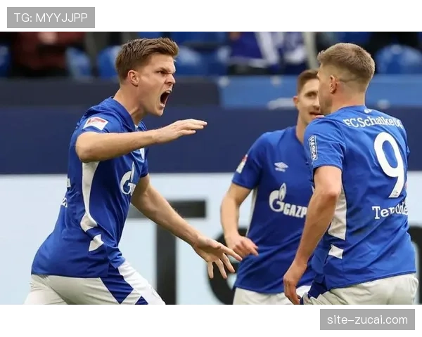 霍芬海姆中场三角传递网络，通过连续一脚出球破解汉堡高位防线